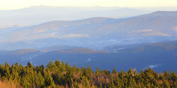 Panoramablick übers Viechtacher Land im Bayerischen Wald