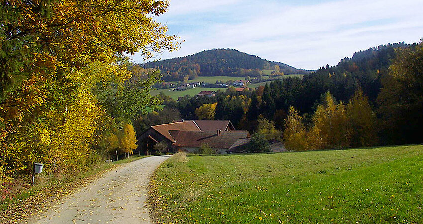 Blick auf die schöne Landschaft des Bayerischen Waldes